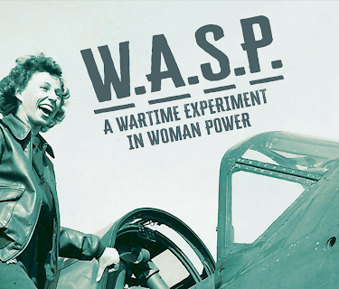 W.A.S.P. A Wartime Experiment in Womanpower (2020)