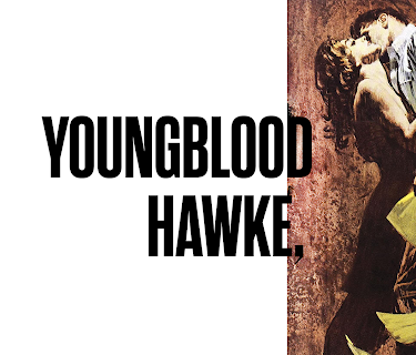 Youngblood Hawke (1965)