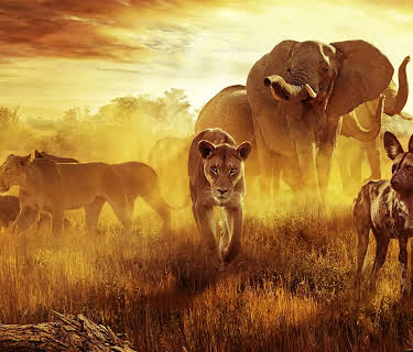 Surviving Paradise: A Family Tale (2022)