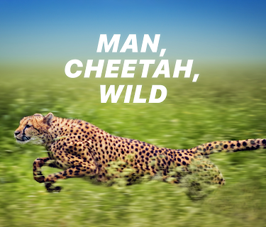 Man, Cheetah, Wild