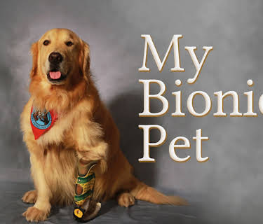 My Bionic Pet (2014)