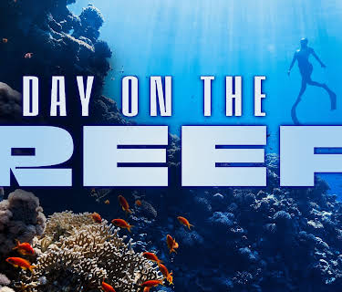 A Day on the Reef: Sipadan (2025)
