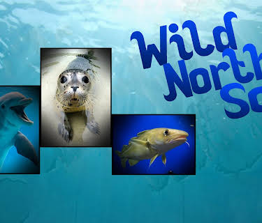 Wild North Sea: Footage Never Seen Before (2013)