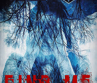 Find Me (2014)
