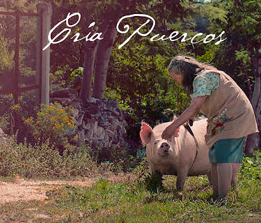 Cría Puercos (2018)