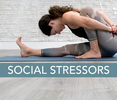 Social Stressors (2021)