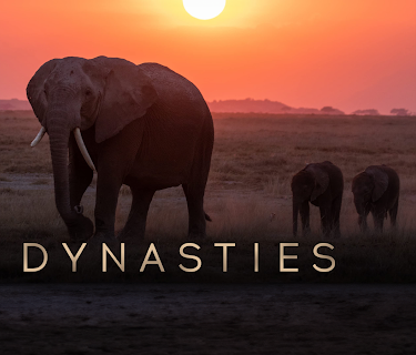 Dynasties, Season 2