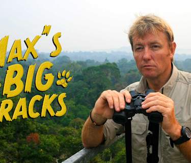Max's Big Tracks