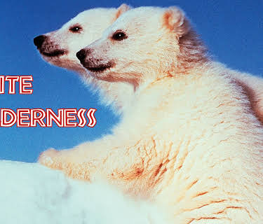 White Wilderness (1958)