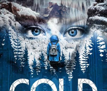 Cold December (2008)