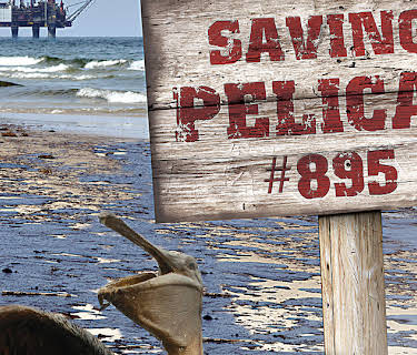 Saving Pelican 895 (2011)