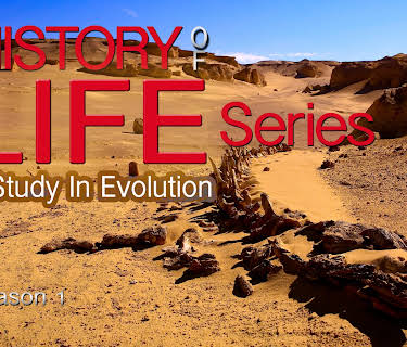 History Of Life Series: A Study In Evolution