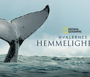 Secrets of the Whales