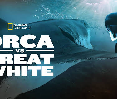 Orca vs. Great White (2021)