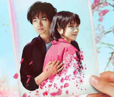 Love Like the Falling Petals (2022)