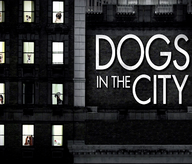 Dogs In The City Season 1
