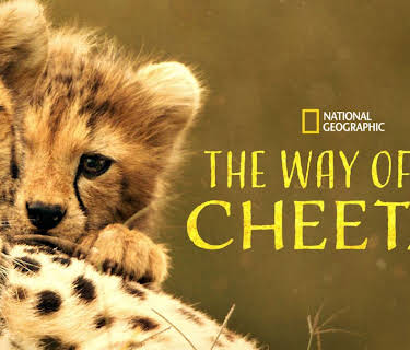 The Way of the Cheetah (2022)