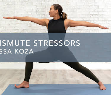 Transmute Stressors (2020)