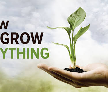 How to Grow Anything: Your Best Garden and Landscape in 6 Lessons