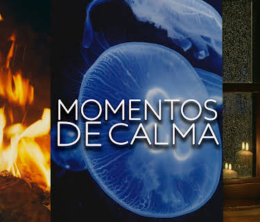 Momentos de calma