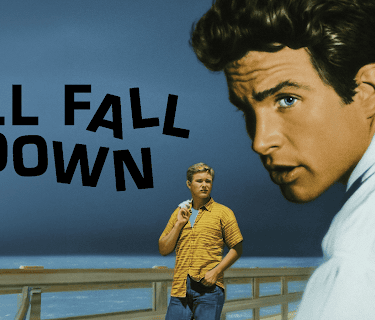 All Fall Down (1962)