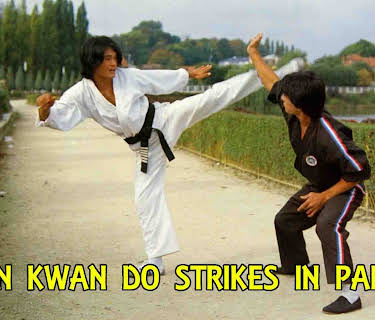 Zen Kwan Do Strikes In Paris (1981)