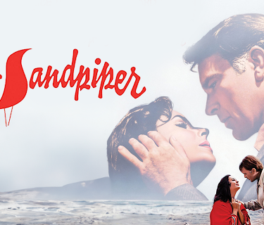 The Sandpiper (1965) (1965)