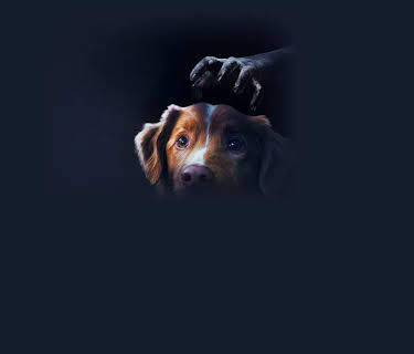 Good Boy (2025)