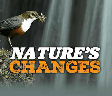 Nature's Changes (2025)