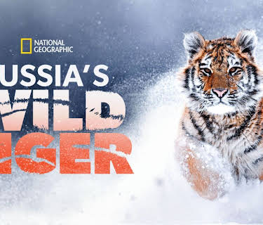 Russia's Wild Tiger