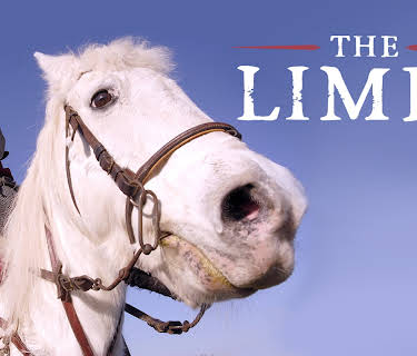 The Limes