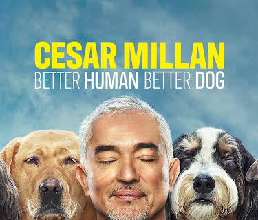 Cesar Millan: Better Human Better Dog Season 1