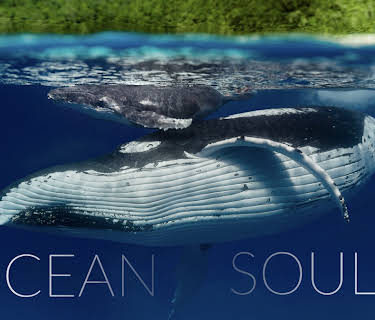 Ocean Souls (2025)