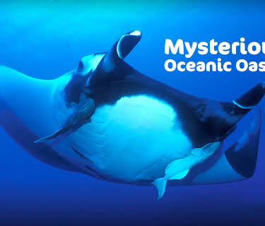 Mysterious Oceanic Oases (2013)
