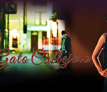 Gato Callejero (1984)
