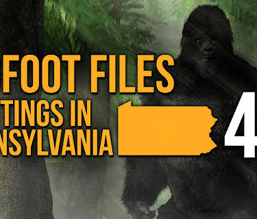 Bigfoot Files 4: Sightings in Pennsylvania (2024)