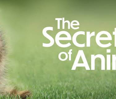 The Secret Lives of Animals