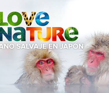 Año Salvaje de Japón