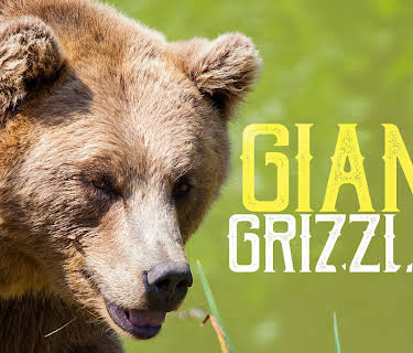 Giant Grizzlies (2012)