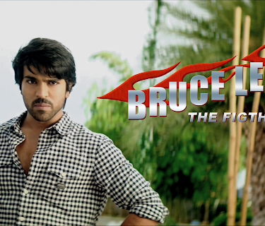 Bruce Lee 2 The Fighter (2015)