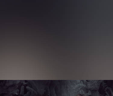 The Town; The Uninvited