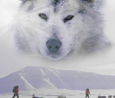 Ice Dogs The Only Companions Worth Having (2020)