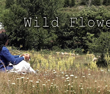 Wild Flower (2016)