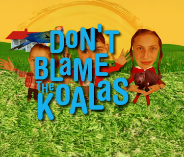 Don't Blame the Koalas