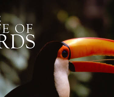 Life of Birds