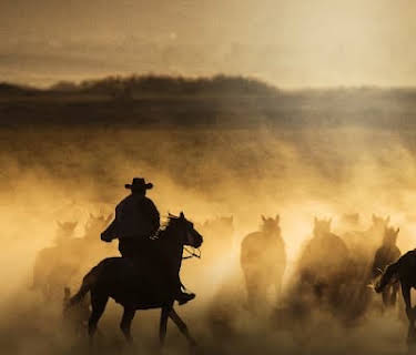 Freedom on the Range