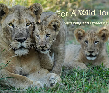 For A Wild Tomorrow (2024)