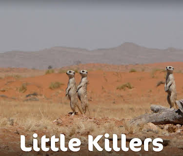 Little Killers (2015)