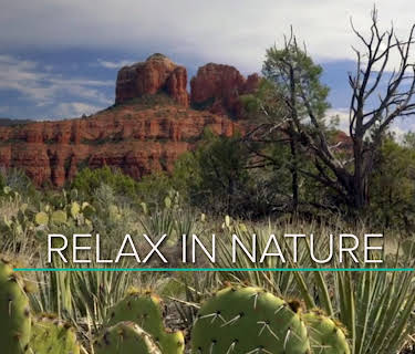 30 Minutes to Relax in Nature