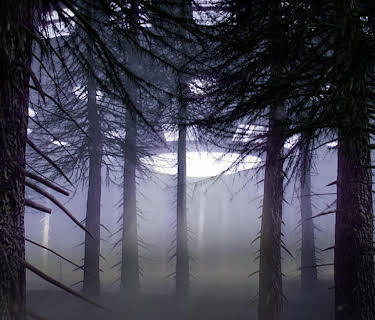 Unsealed Alien Files